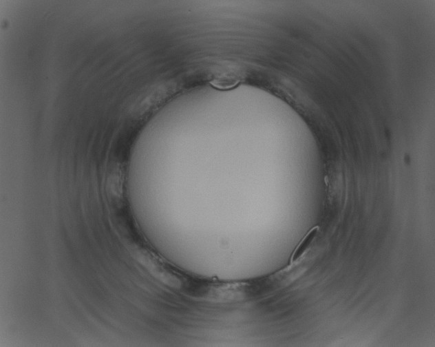 X0000062670078200601111255