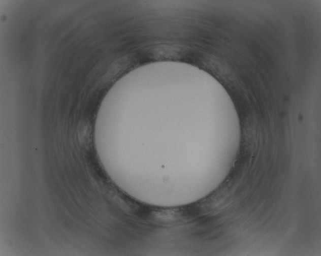 X0000062670079200601111255