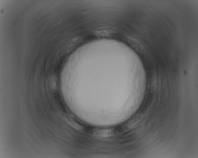 X0000062670081200601111255