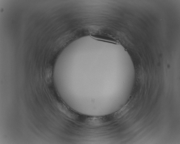 X0000062670082200601111255