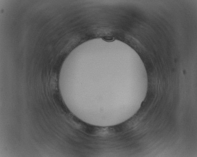 X0000062670083200601111255