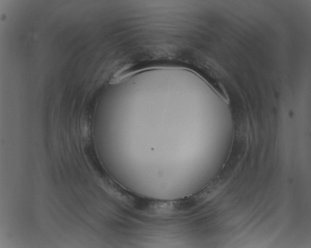 X0000062670084200601111255