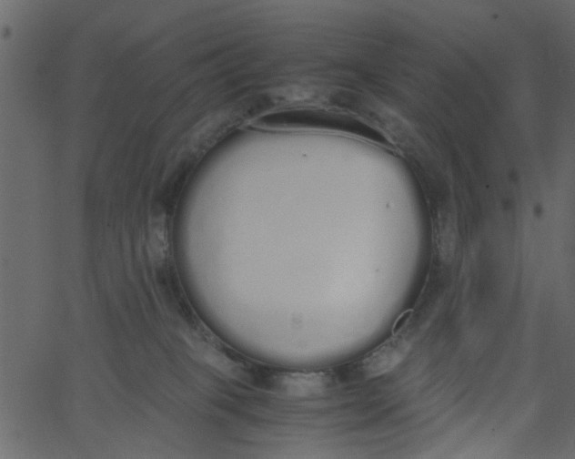 X0000062670085200601111255