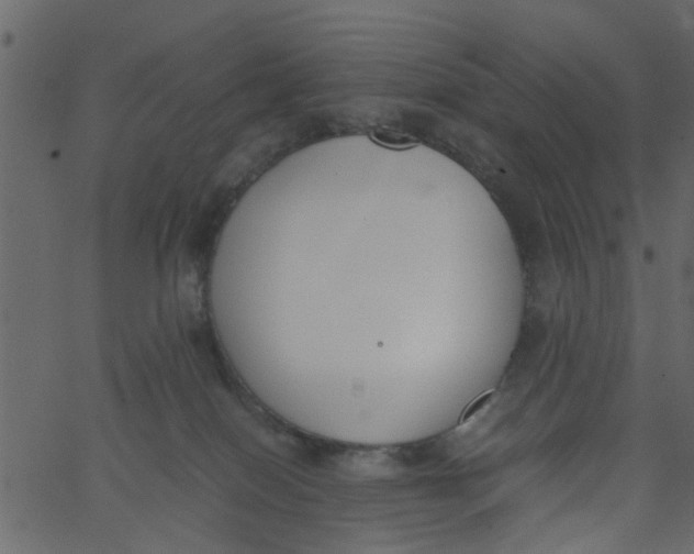 X0000062670086200601111255