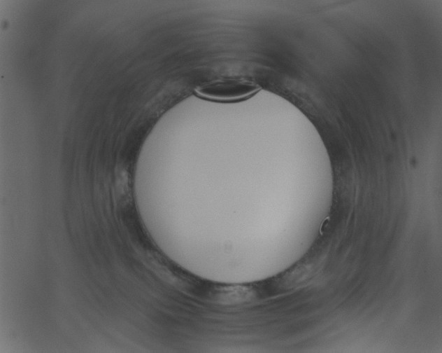 X0000062670087200601111255