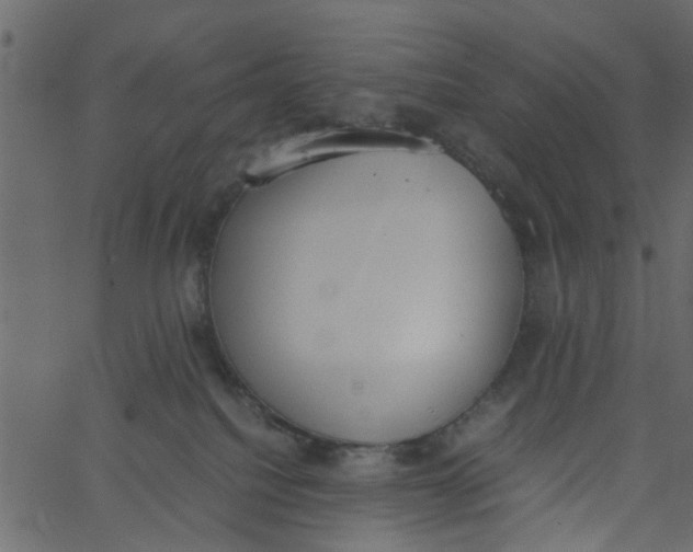 X0000062670088200601111255