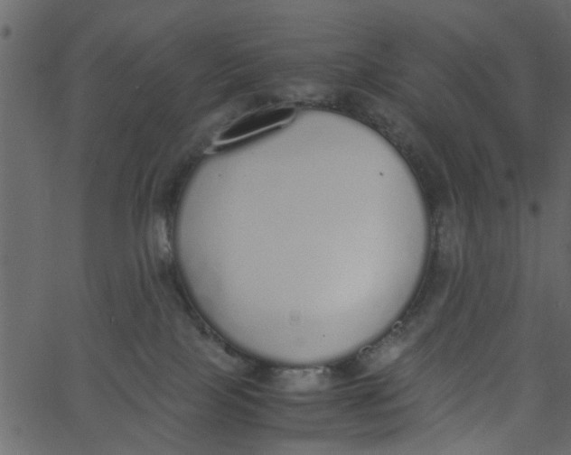 X0000062670089200601111255