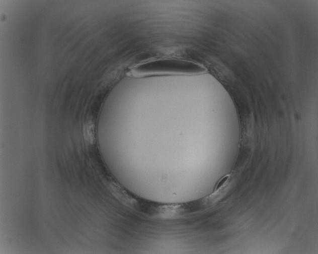 X0000062670090200601111255