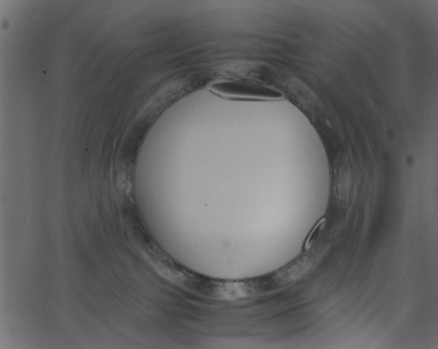 X0000062670091200601111255