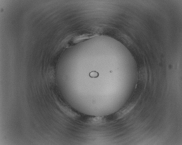 X0000062670092200601111255