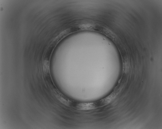 X0000062670093200601111255