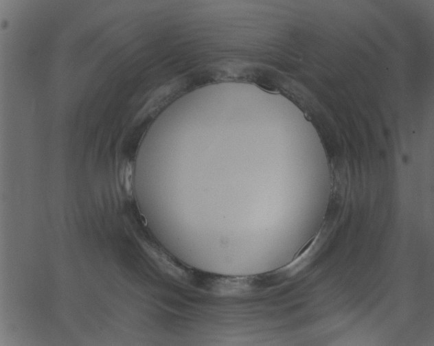 X0000062670094200601111255