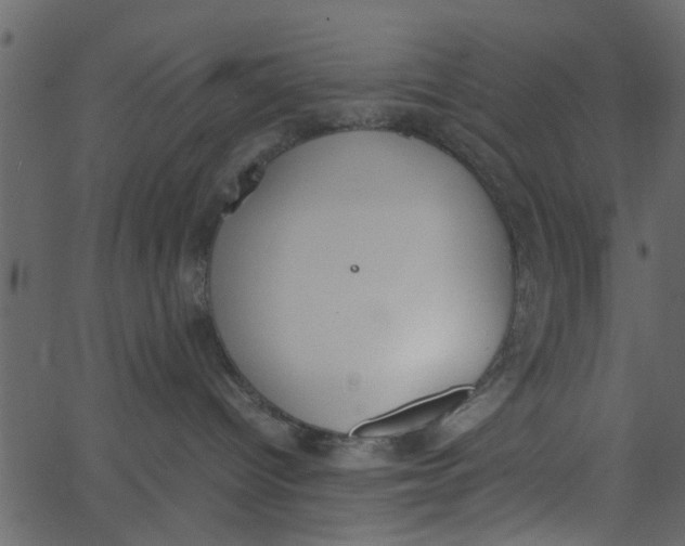 X0000062670096200601111255