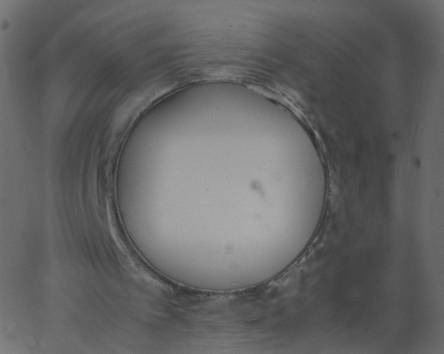 X0000062670097200601111254