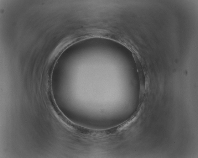 X0000062670101200601111254