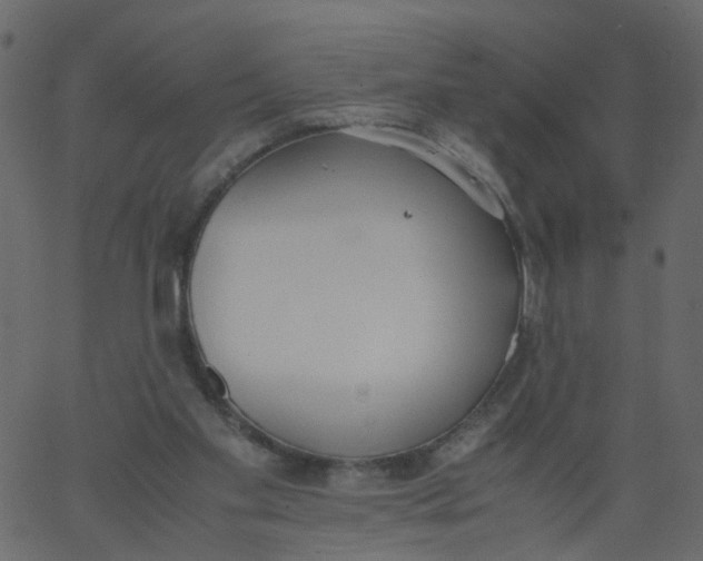 X0000062670109200601111254