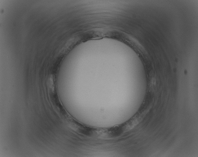 X0000062670121200601111254