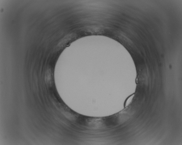 X0000062670132200601111254