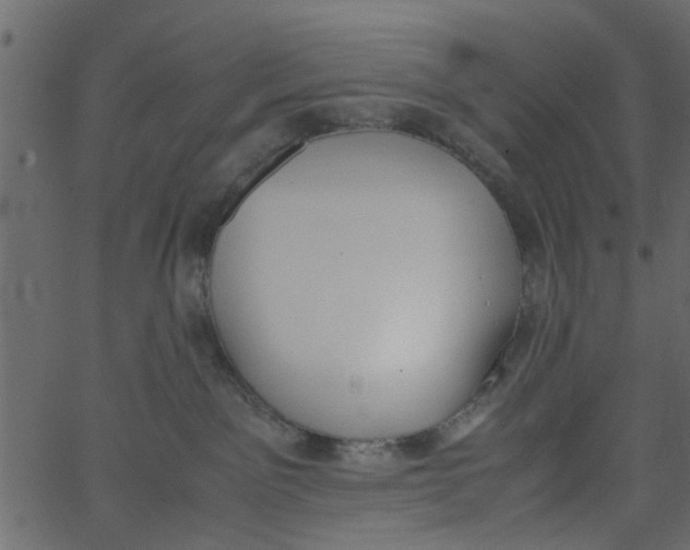 X0000062670141200601111254