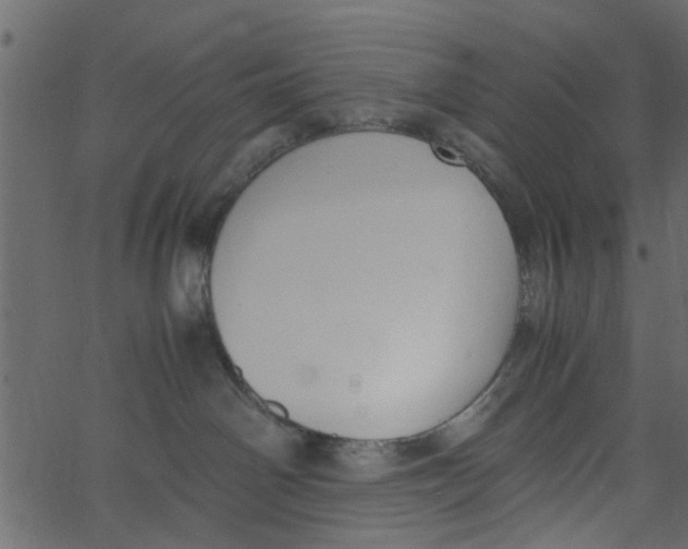 X0000062670142200601111253