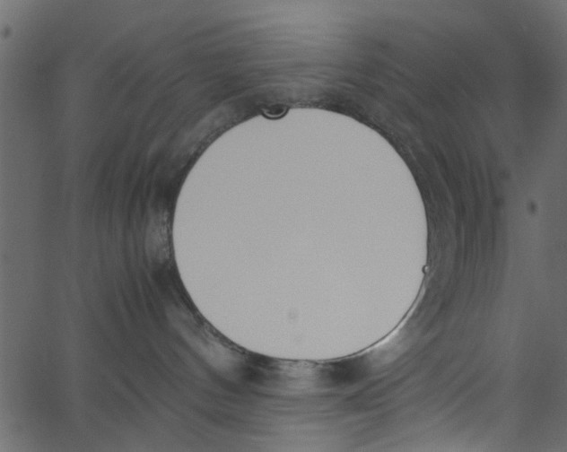 X0000062670144200601111253