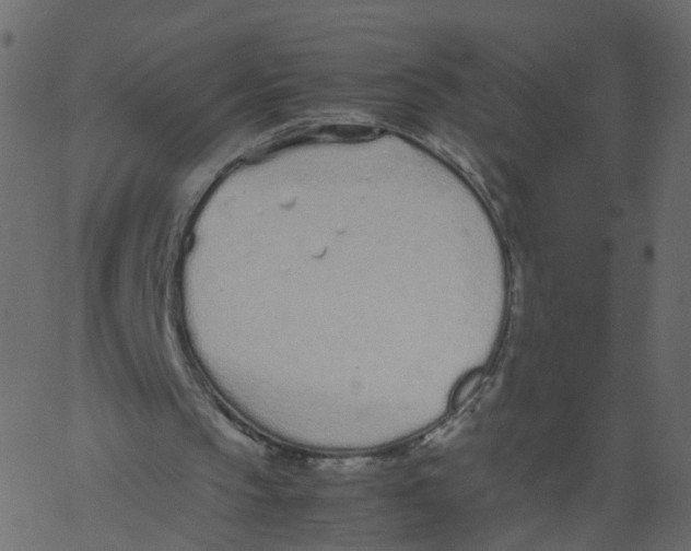 X0000062670145200601111253