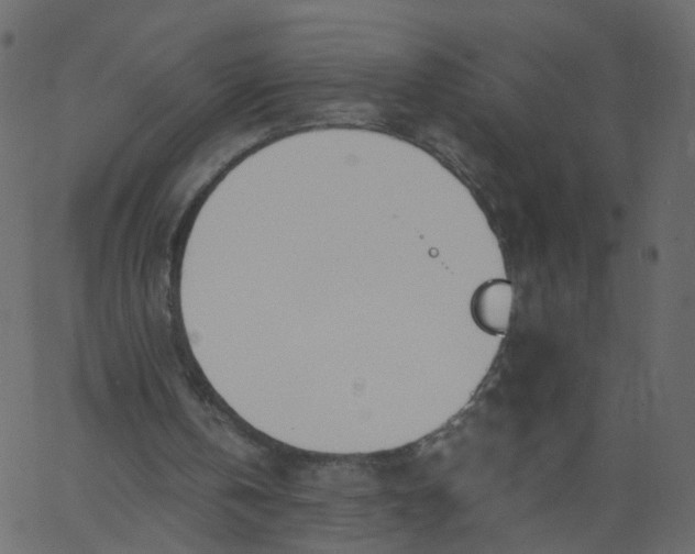 X0000062670146200601111253