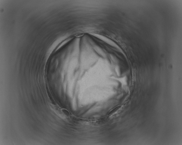 X0000062670147200601111253