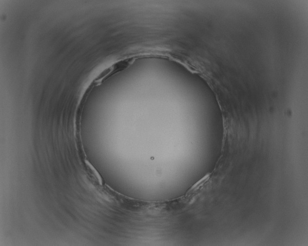 X0000062670148200601111253