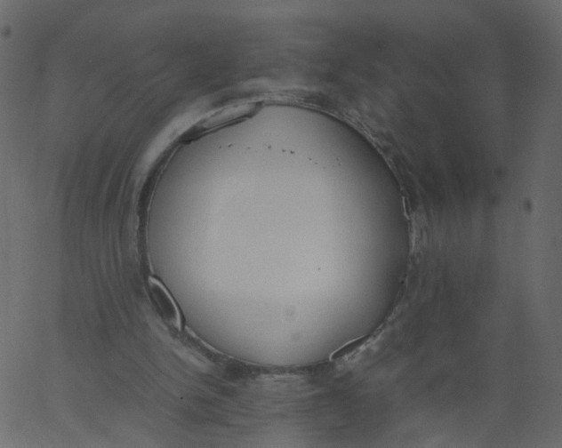 X0000062670150200601111253