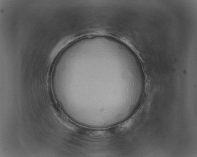 X0000062670151200601111253