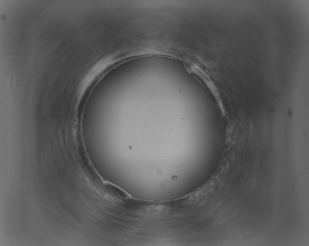 X0000062670152200601111253