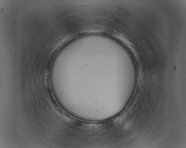 X0000062670153200601111253