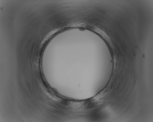 X0000062670155200601111253