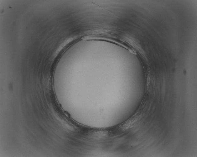 X0000062670156200601111253