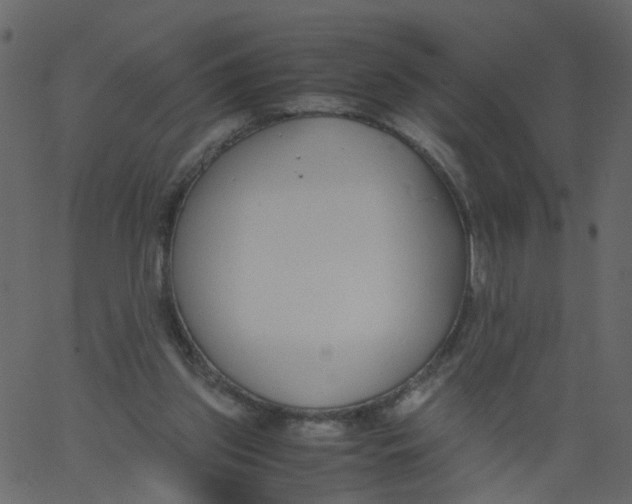 X0000062670157200601111253