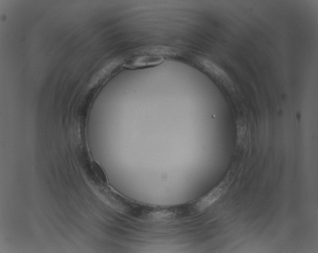 X0000062670158200601111253