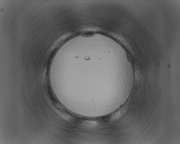 X0000062670159200601111253