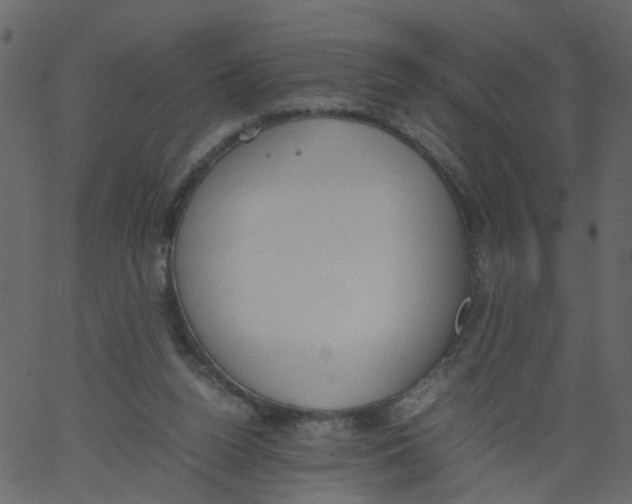 X0000062670160200601111253