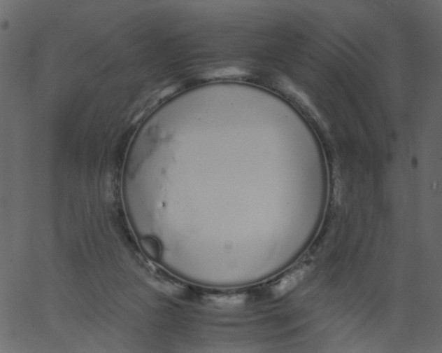 X0000062670161200601111253