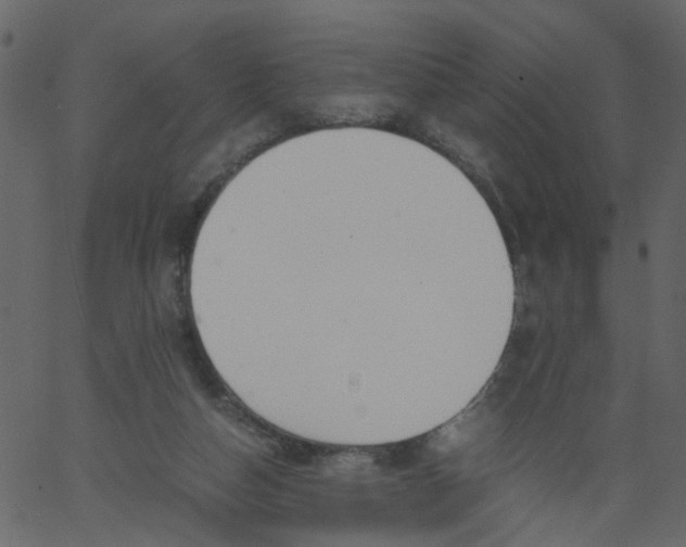 X0000062670162200601111253