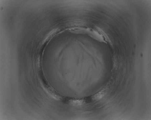 X0000062670163200601111253