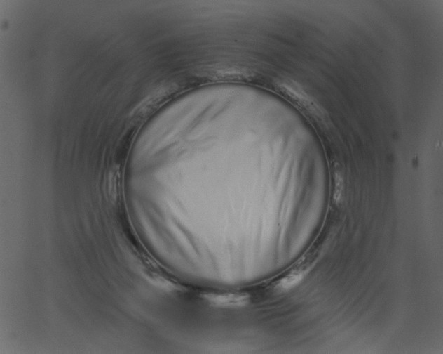 X0000062670165200601111253