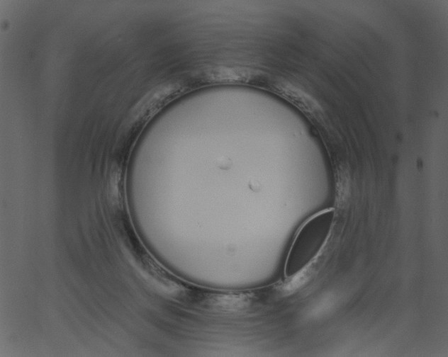 X0000062670166200601111253