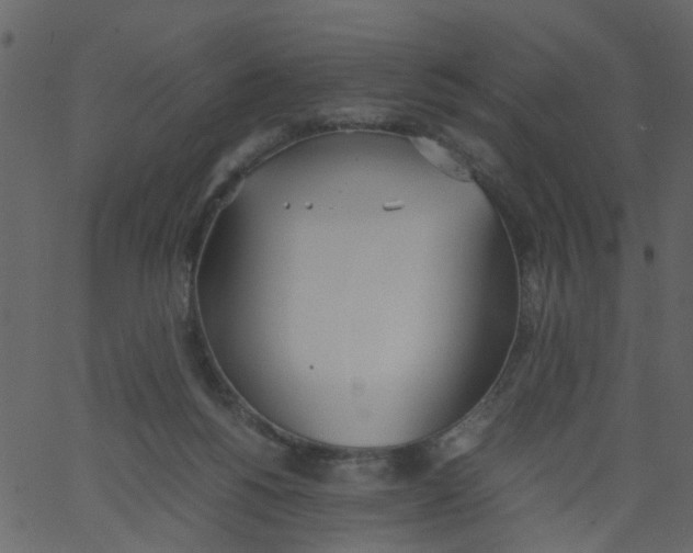 X0000062670168200601111253