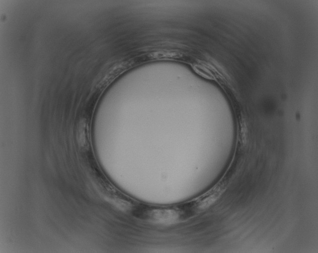 X0000062670169200601111253