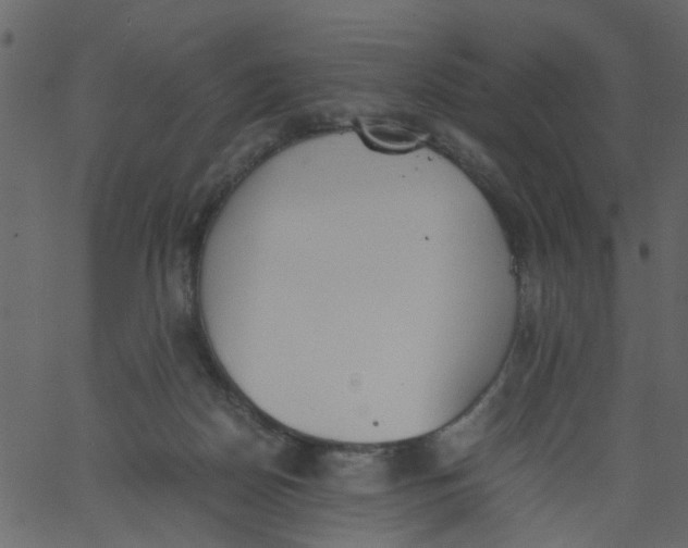 X0000062670170200601111253