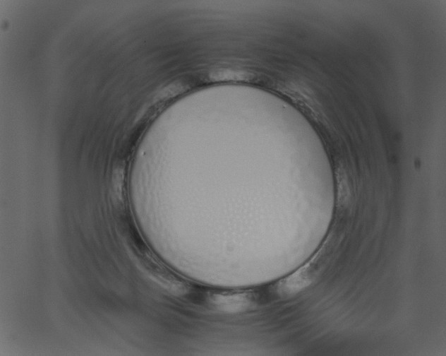 X0000062670171200601111253