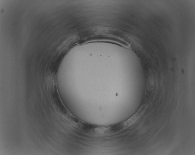 X0000062670172200601111253