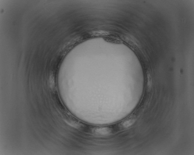 X0000062670173200601111253